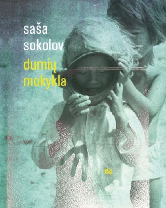Durnių mokykla