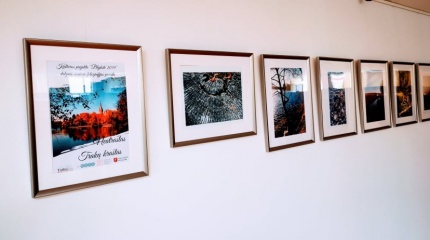 Rūdiškių bibliotekoje – paroda „Blykstė 2019“