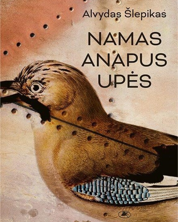 Namas anapus upės