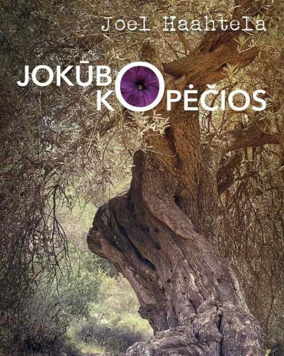 Jokūbo kopėčios