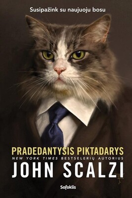 Pradedantysis piktadarys